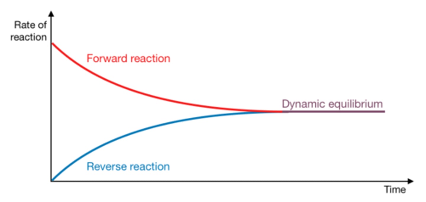 <p>a chemical reaction in which the products can react to re-form the original reactants</p>