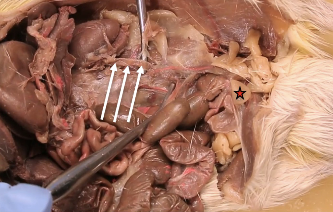 <p>What is this?</p>