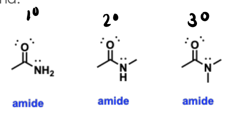 <p>Nitrogen-containing functional groups that are like the nitrogen version of carboxylic acids and esters, containing a carbonyl group bonded to a nitrogen atom.</p>