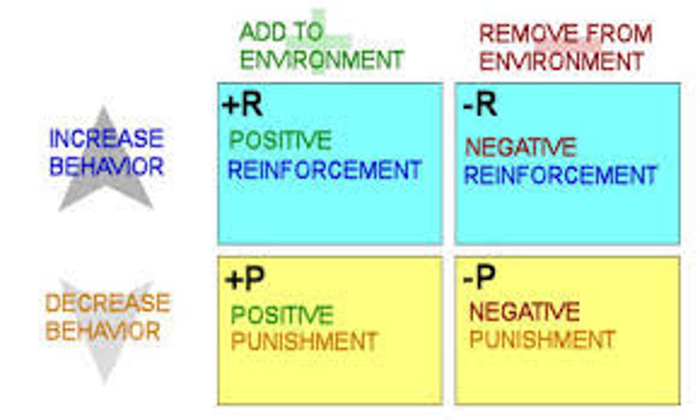 <p>in operant conditioning, any event that strengthens the behavior it follows.</p>