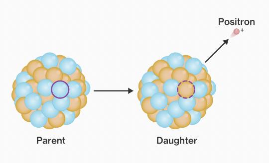 <p>When the nucleus releases a proton into 1. a positron, 2. a neutron. Neutron stays inside nucleus.</p>