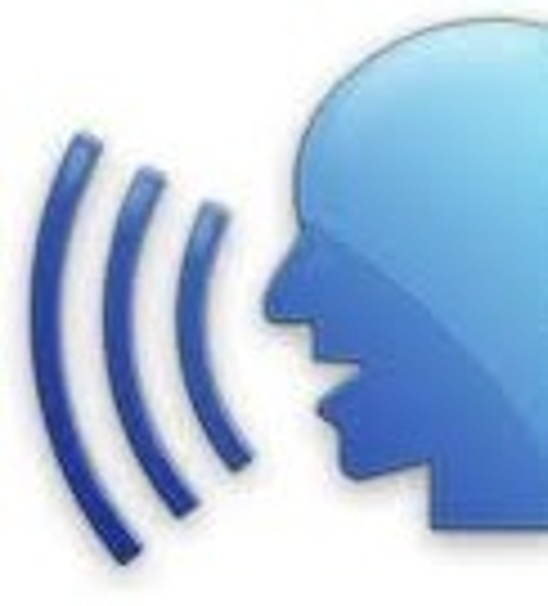 <p>the voice (voices)</p>