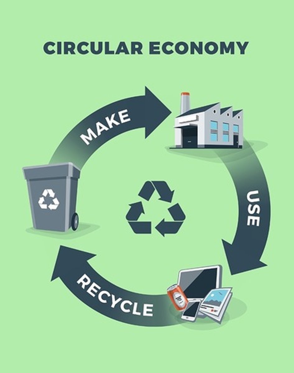 <p>an economic system focused on reusing, repairing, and recycling materials to reduce waste.</p>