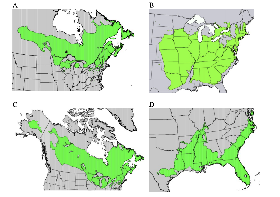 Match the species to its range map.
balsam fir 
eastern redcedar
tamarack
baldcypress