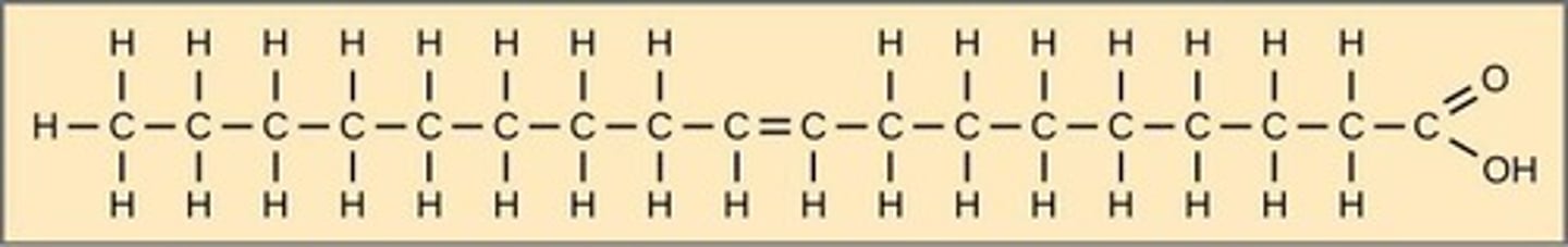 <p>One double bond.</p>