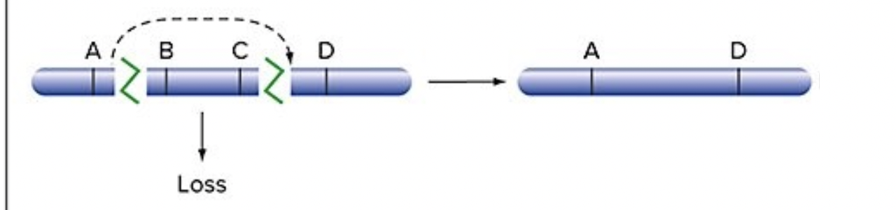 <p>genes in the middle of a chromosome are lost </p><p>genes on the end end up too close together</p>
