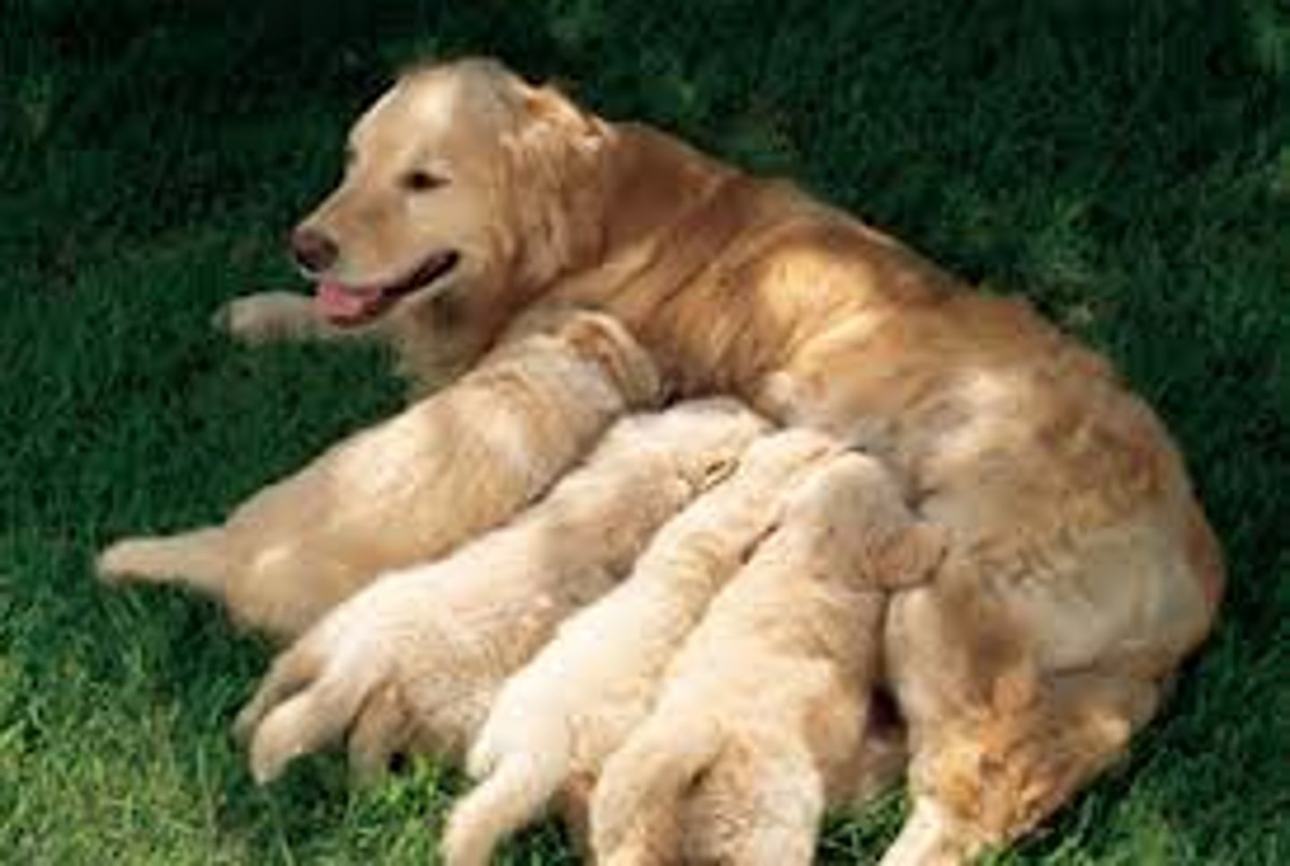 Taoki page 126 Cartes Quizlet Flashcards Knowt