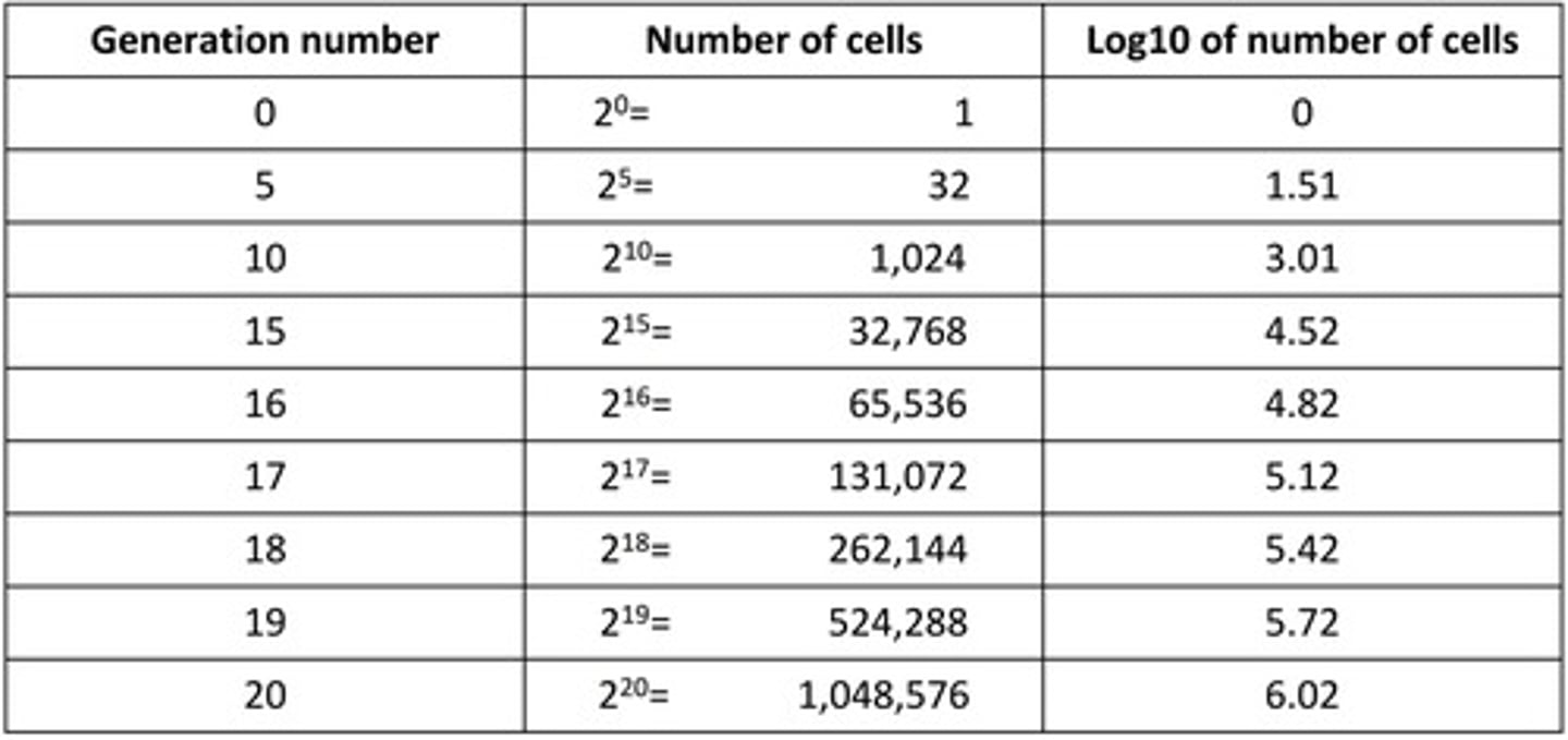 <p>- Shorter the generation time the faster they grow</p><p>- Generation Time (GT) depends on the microbe &amp; the conditions</p>