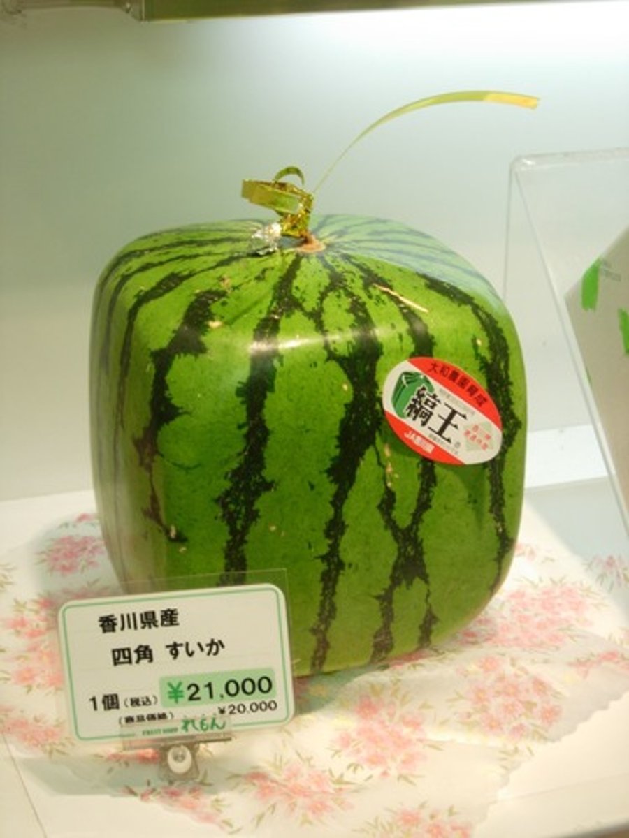 <p>(bù cháng jiàn) uncommon</p>