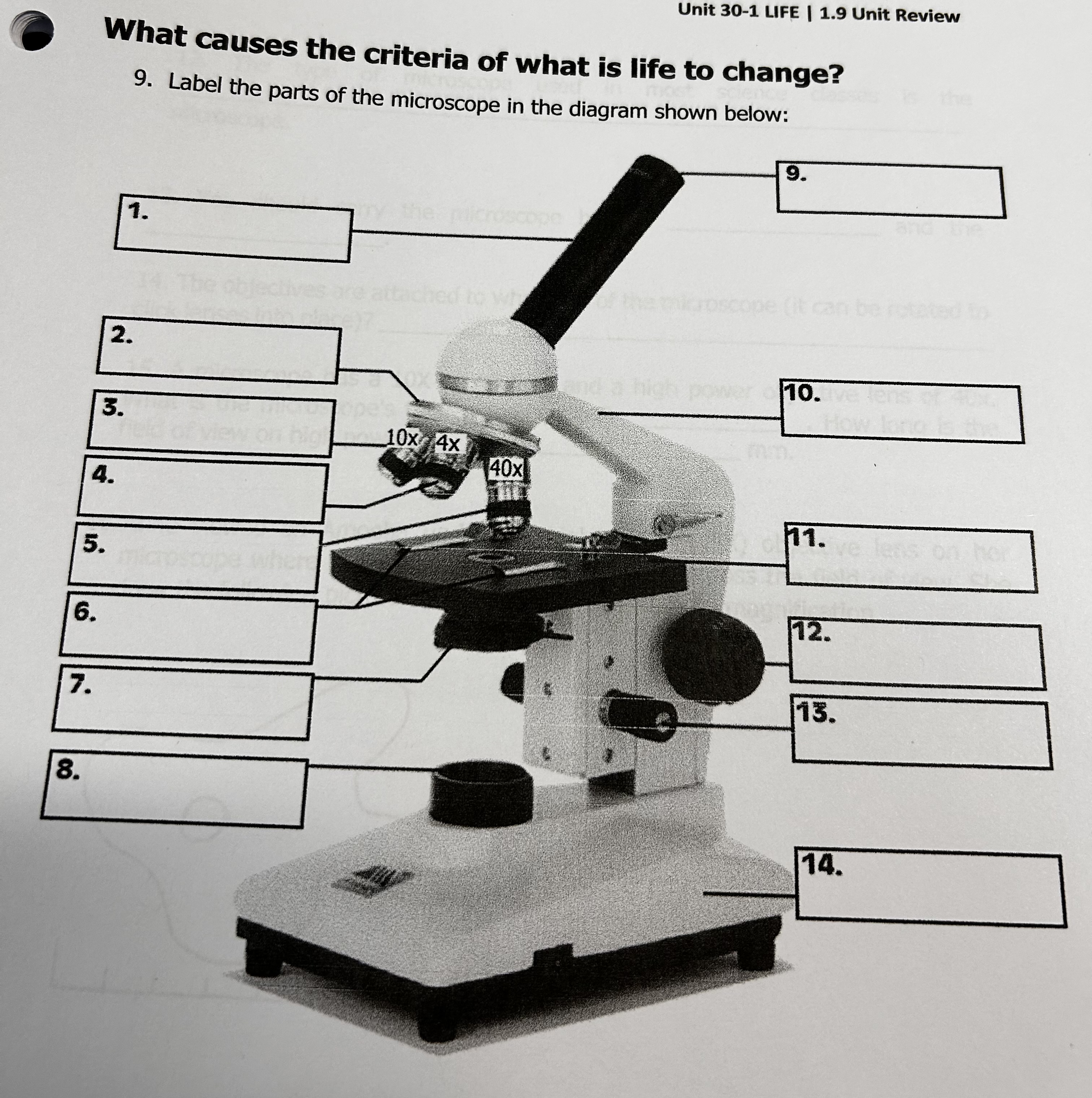 <p>Label The Light Compound Microscope </p>