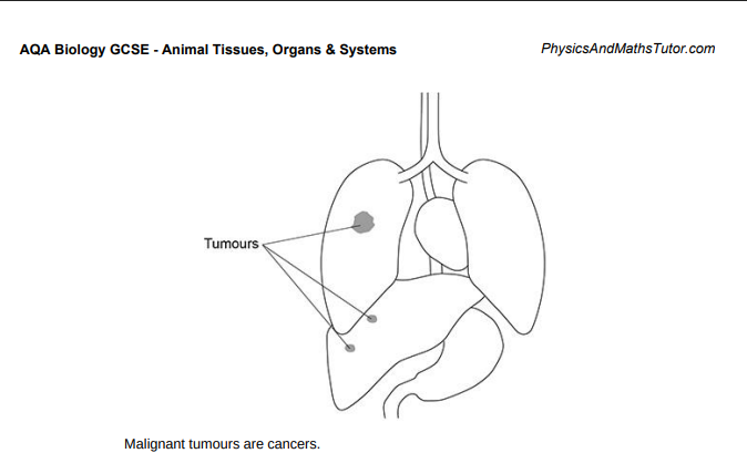 <p>Describe what happens to cells when a tumour forms(1)</p>