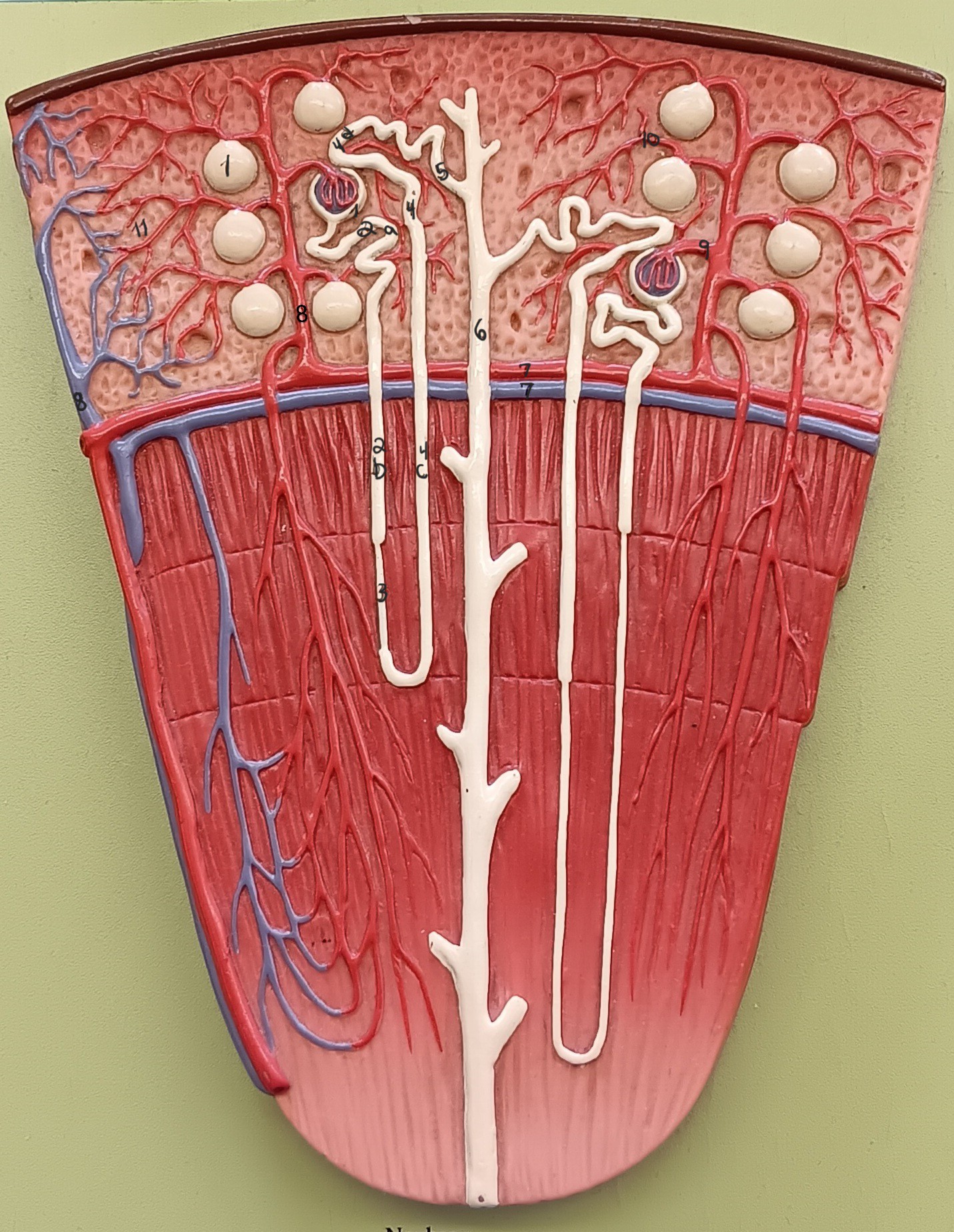 <p>2b</p>