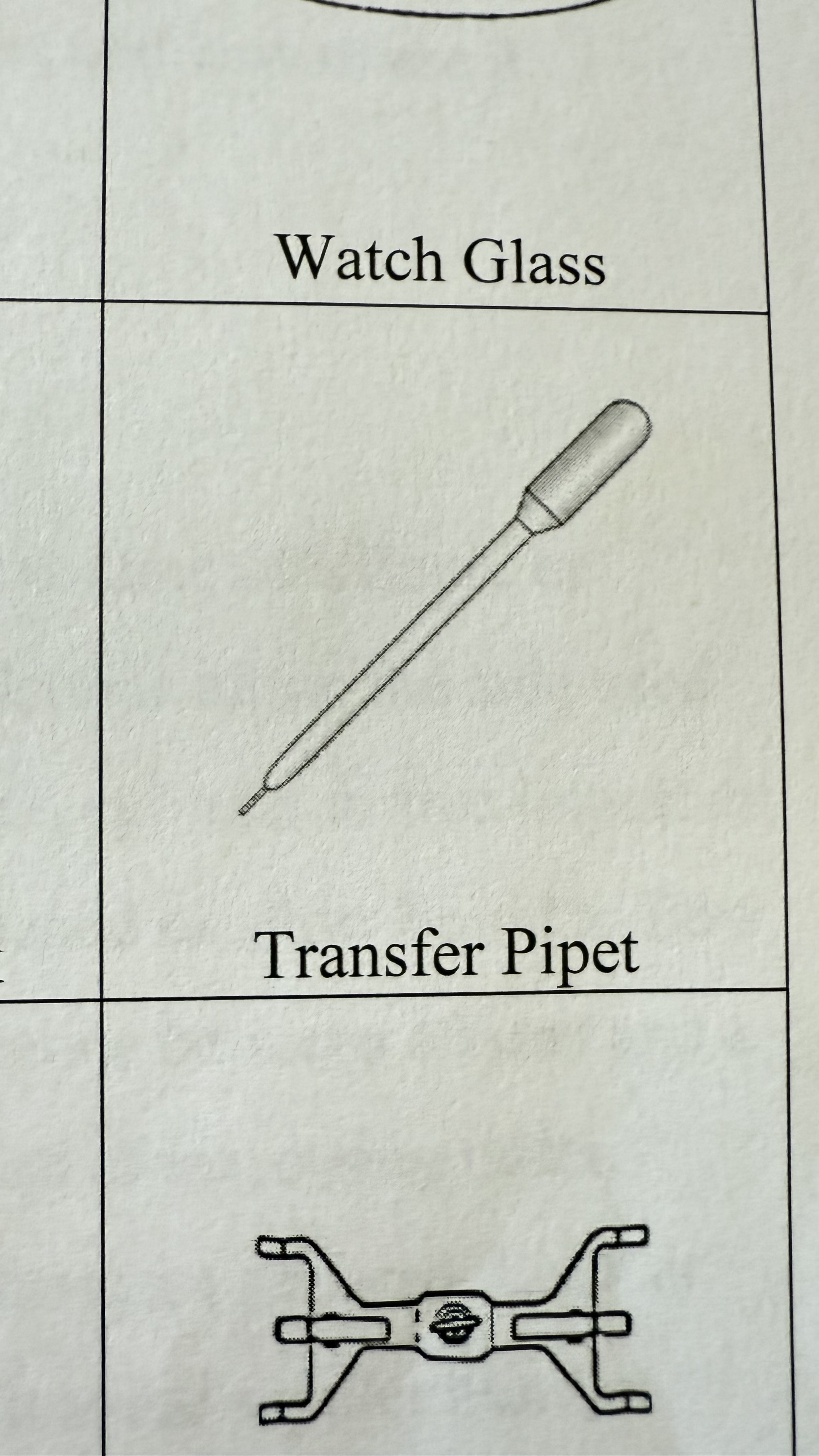 <p>Transfer Pipet</p>