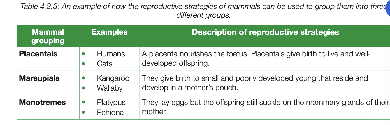 <ul><li><p>physical features are expression of genotype and environment, tehrefore organisms with fimilar features are often closely related- can be used in classifying range of diff organsisms</p></li></ul><p></p><ul><li><p>some species reproduce sexually, others asexual - used to classify range of diff organisms (e.g. mammals - 1 of 3 repdoductive strategies so the groups are diff)</p></li></ul><p></p>
