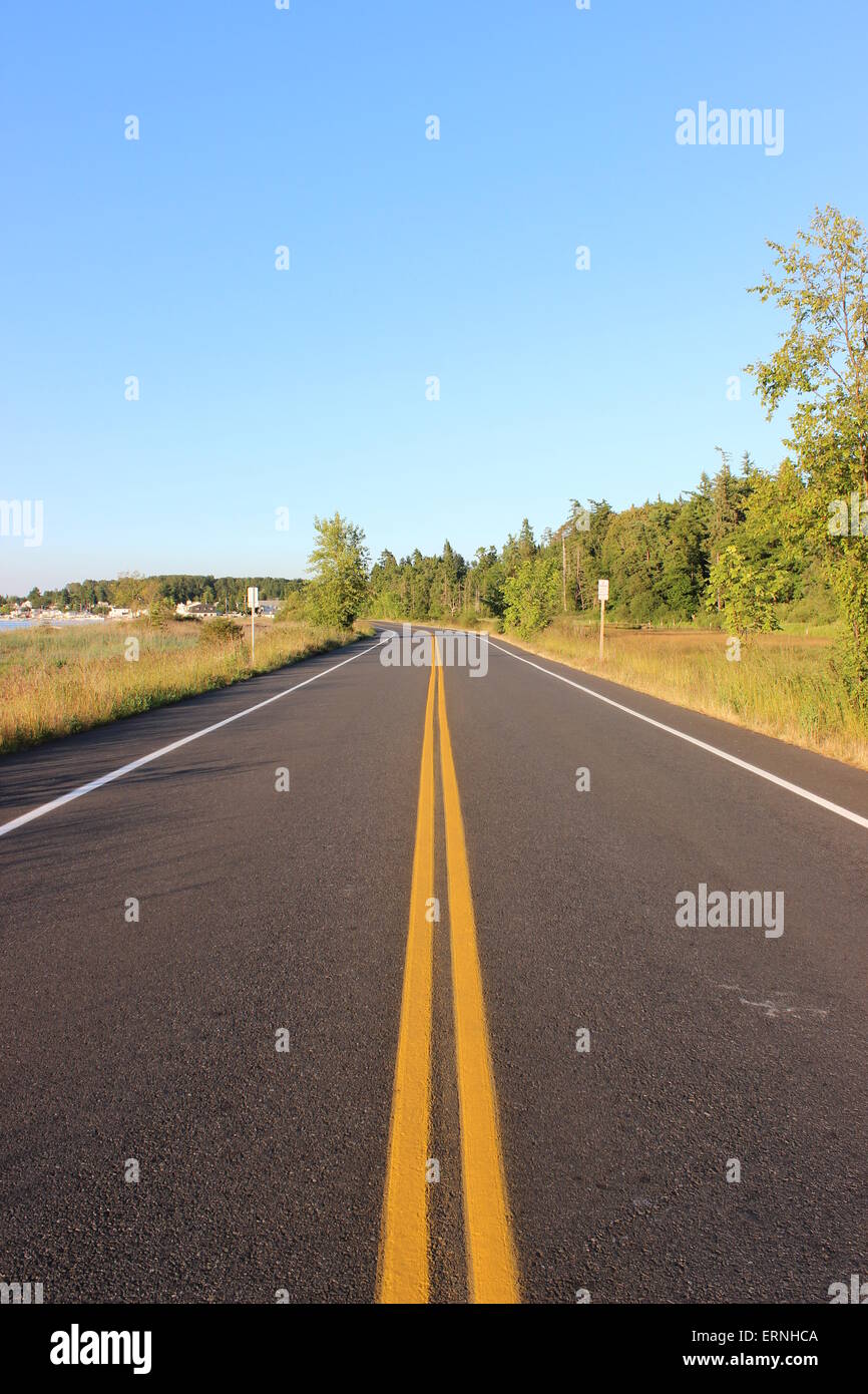 Two solid yellow lines
