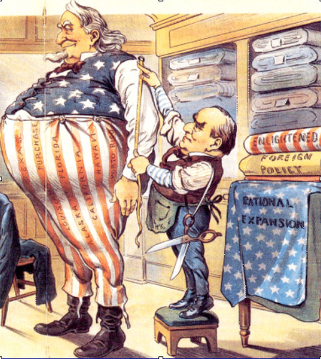 <p>objected to the annexation of the Philippines and the building of an American empire. Idealism, self-interest, racism, constitutionalism, and other reasons motivated them, but they failed to make their case; the Philippines were annexed in 1900</p>