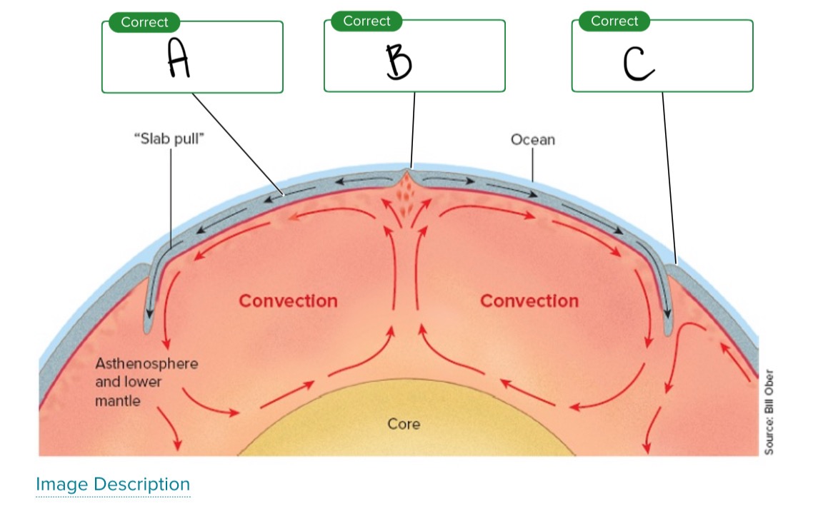 <p>Looking at the geologic structures, what is A?</p>