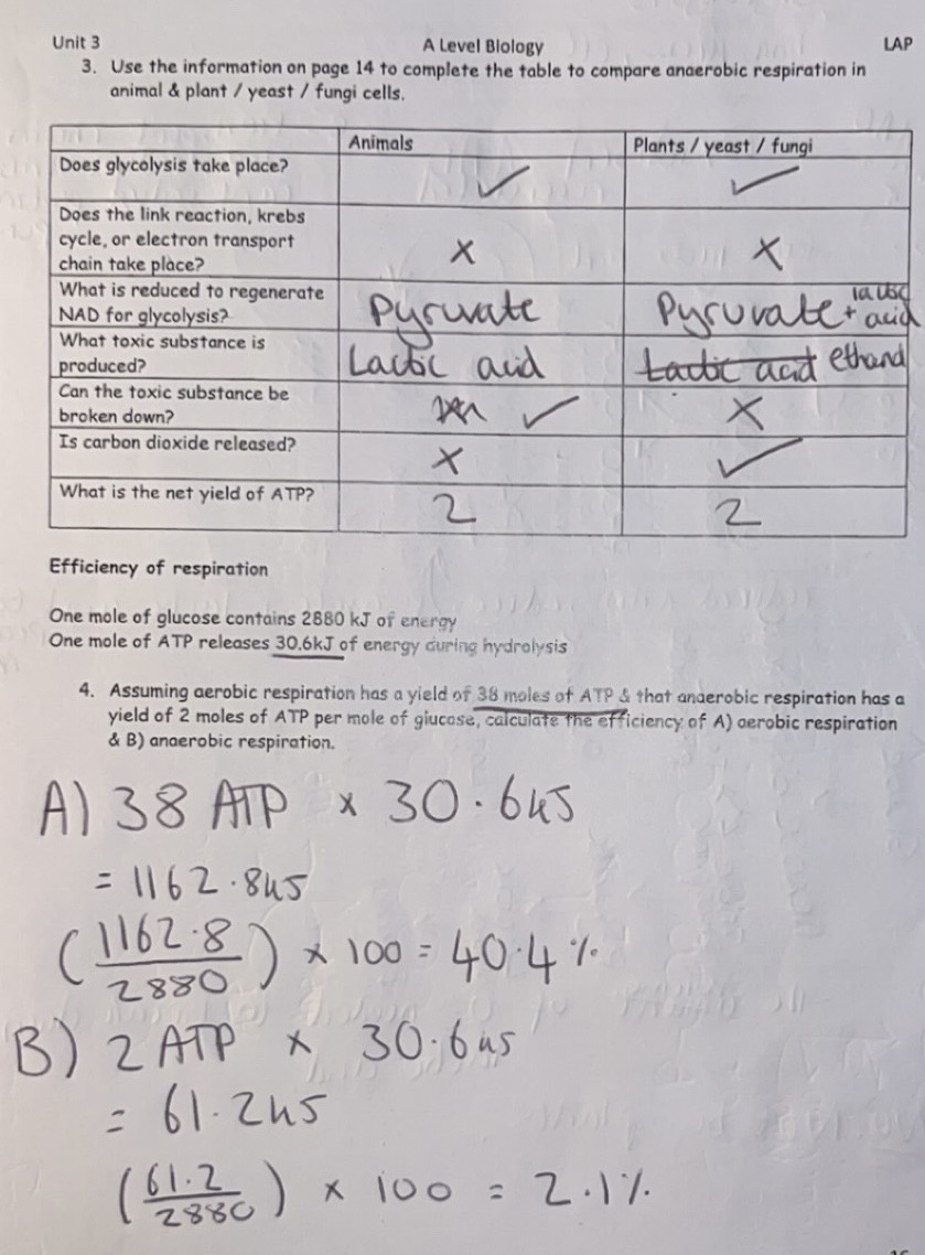 knowt flashcard image