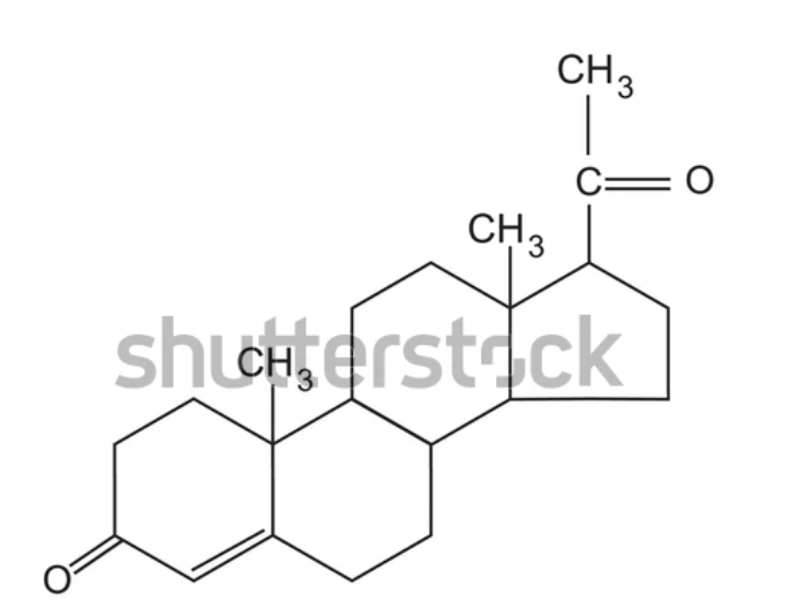 <p>What is this</p><p>What is the precursor</p><p>How is it converted to this</p><p>What is it converted to after</p><p>Is iit a five or a 4 steroid</p>
