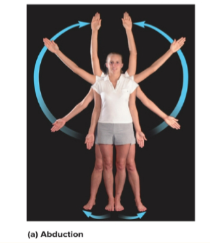 <p>moving extremities away from midline,&nbsp;<strong>raising arm from side of body</strong></p>