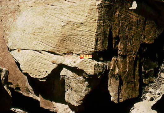 <ul><li><p>description: </p><ul><li><p>medium grained, buff-coloured, cross stratified sandstone overlying mudstones containing fossil plants</p></li></ul></li><li><p>interpretation </p><ul><li><p>sandstone formed as dunes by unidirectional flow. plant material suggest sand deposited in a terrestrial river channel</p></li></ul></li></ul>