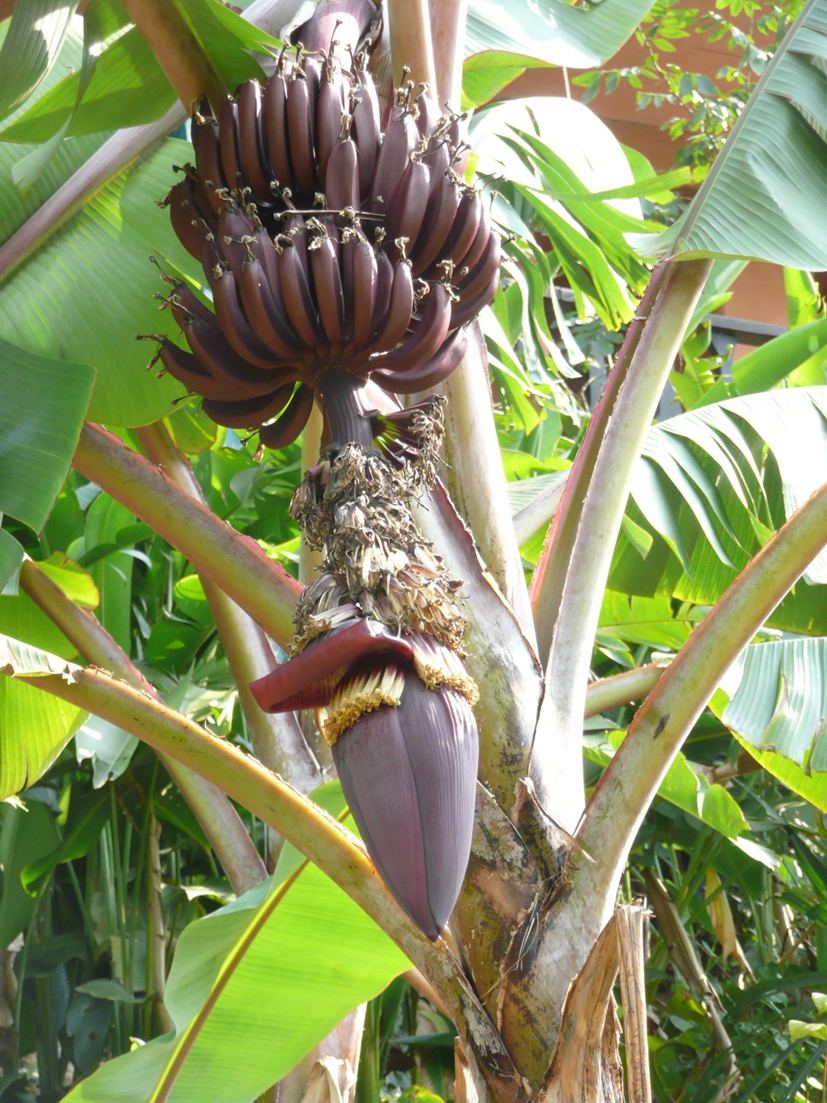 <p>Explain the context of this image.</p>