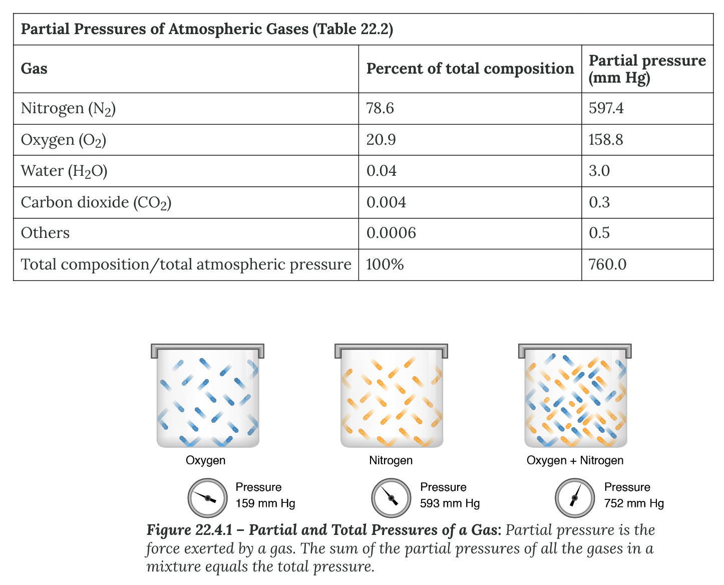 <p><strong>Gas Atmospheric Pressure</strong></p><ul><li><p>Gaseous mixture exerts a certain pressure referred to as atmospheric pressure</p><ul><li><p><strong>Partial pressure</strong> <strong>(<em>Px</em></strong>)</p><ul><li><p>pressure of a ____ type of gas in a mixture of gases</p></li></ul></li><li><p><strong>Total pressure</strong></p><ul><li><p>sum of all the partial pressures of a gaseous mixture</p></li></ul></li><li><p><strong>Dalton’s Law</strong></p><ul><li><p>describes the behavior of ______ gases in a gaseous mixture and states that a specific gas type in a mixture exerts its own pressure</p></li></ul></li></ul></li><li><p>relative concentration of gases is N &gt; O &gt; H2O (vapor) &gt; CO2.</p></li></ul>