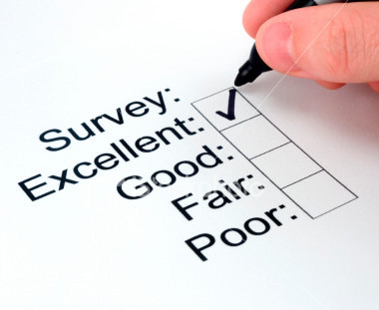 <p>poll, survey</p>