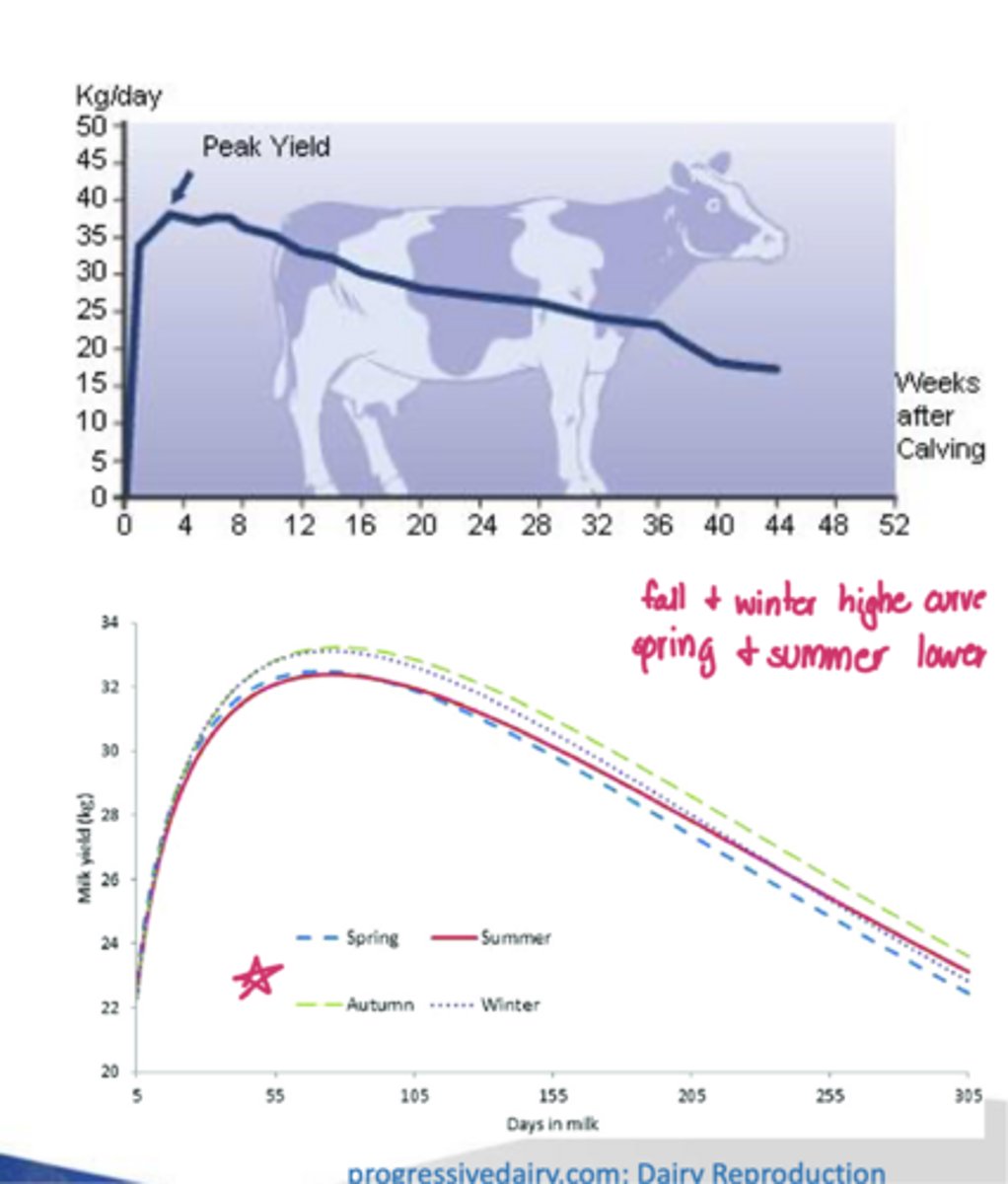 <p>which season has a negative impact on milk production</p>