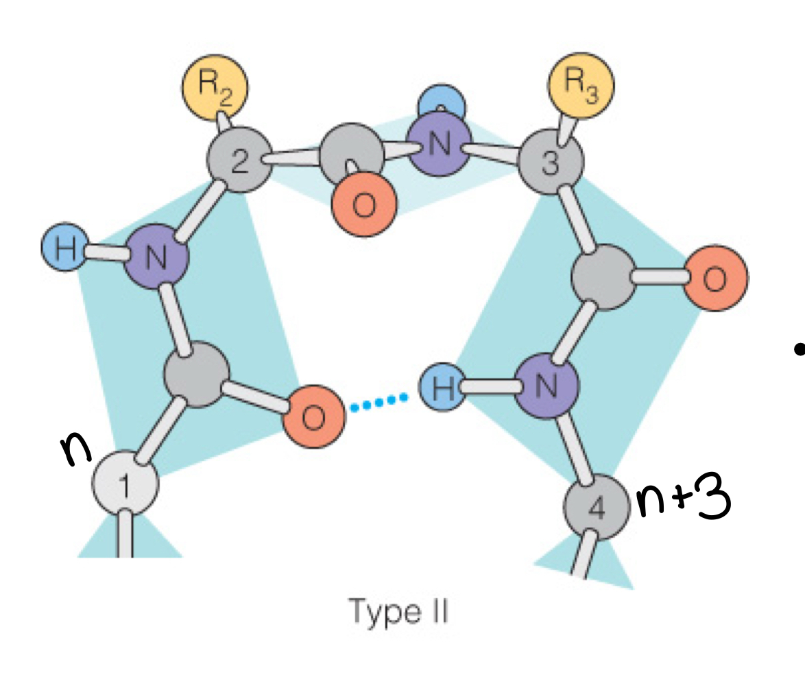 <p>Compact, abrupt turns (allow for 180 degree reversal) following n+3 pitch</p>