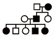 <p>autosomal dominant:</p>