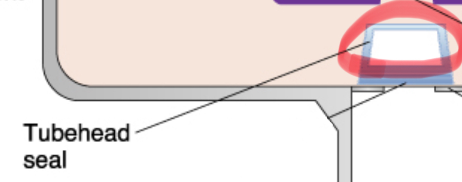 <p>allows the exit of xrays from the tube head. seals the oil inside tube head and acts as a filter to X-ray beam</p>
