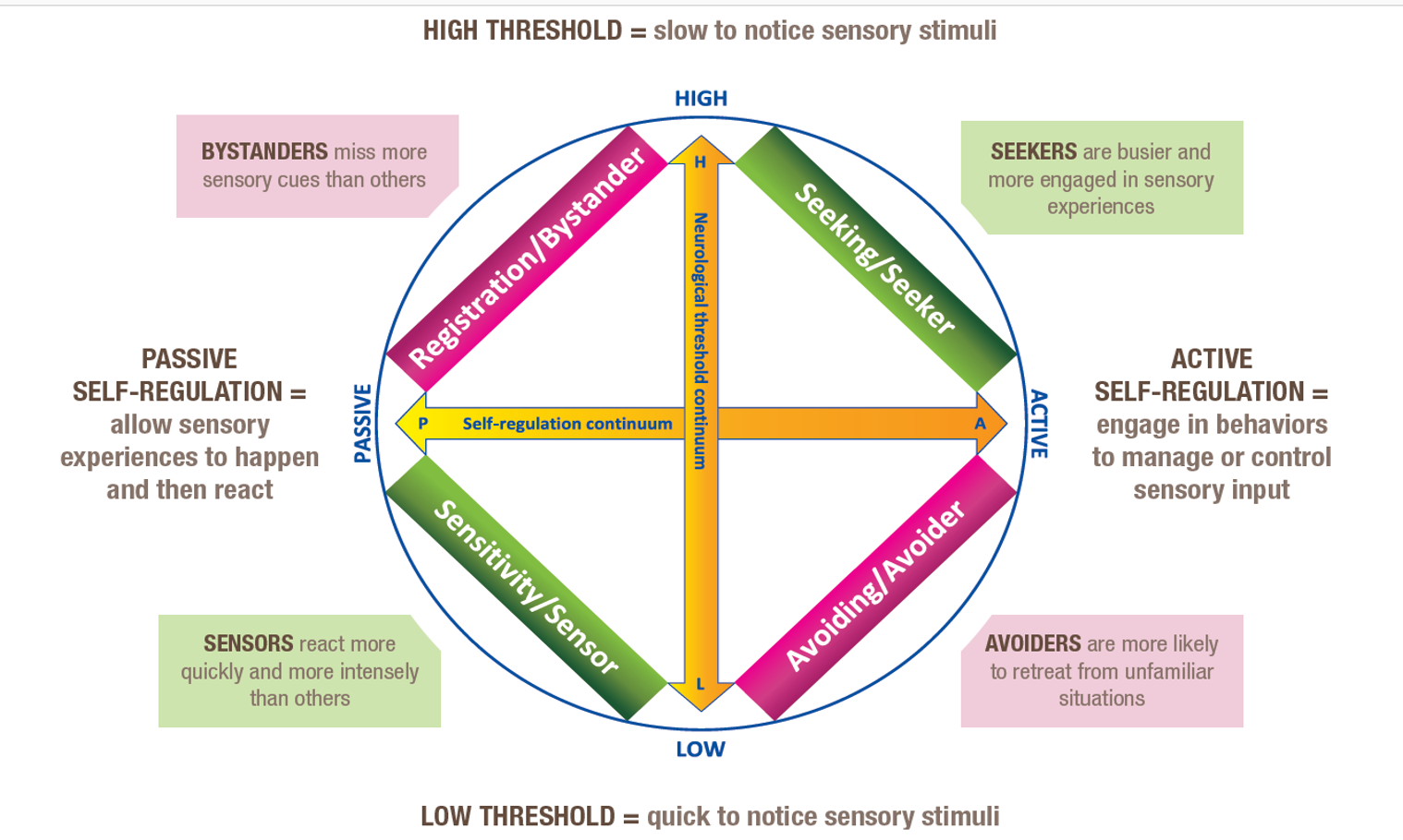 <p>Seekers: High Threshold/Active Self-Regulation</p><p>Avoiders: Low Threshold/Active Self-Regulation</p><p>Sensors (High Sensitivity): Low Threshold/Passive Self-Regulation</p><p>Bystanders (Low Registration): High Threshold/Passive Self-Regulation  </p>
