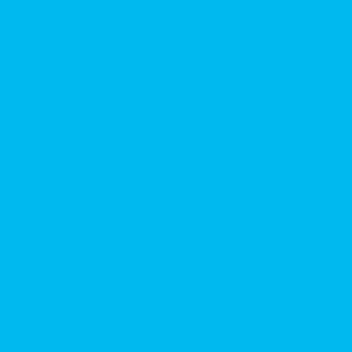 <p>light blue</p>