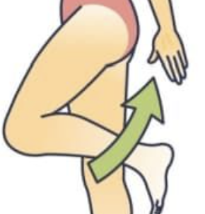 <p>Bending your leg as much as you can at the knee while standing, like in yoga poses or stair climbing.</p>