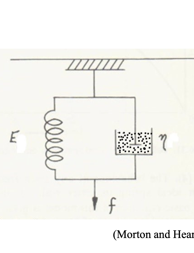 <p>What model is this? </p>