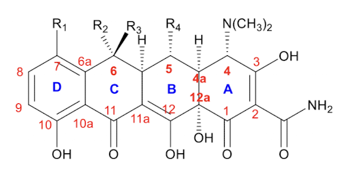 <p>Locations of chiral carbons on tetracyclines</p>