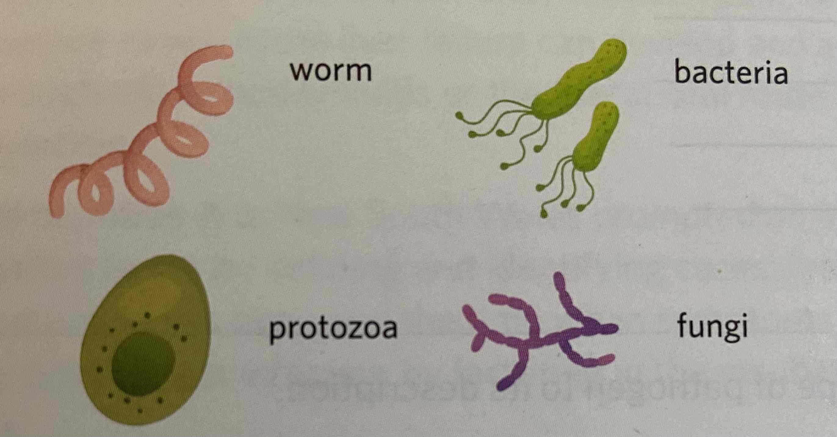 <p>Cellular pathogen</p>