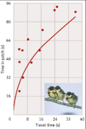 <p>As time to open container increase, so did time in that patch </p>