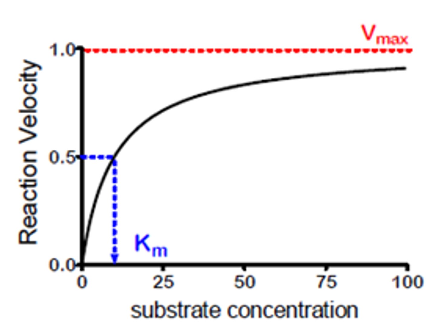 <p>v = vmax[S]/(Km+[S])</p><p>vmax = k_cat*[E]</p><p>catalytic efficiency = k_cat/Km</p>