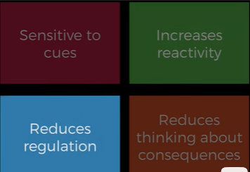 <p>Developed to explain the effects that alcohol causes on an individual's perceptual and cognitive functioning. </p>