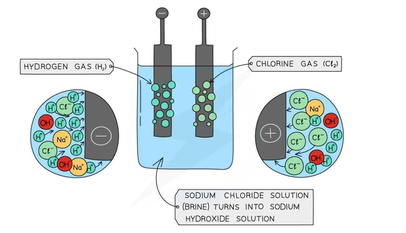 <ul><li><p><strong>Cathode (–):</strong> 2 H₂O + 2 e⁻ → H₂(g) + 2 OH⁻</p><p>Hydrogen bubbles at cathode</p></li><li><p><strong>Anode (+):</strong> 2 Cl⁻ → Cl₂(g) + 2 e⁻</p><p>Green - yellow chlorine gas bubbles at anode</p></li></ul><p></p>
