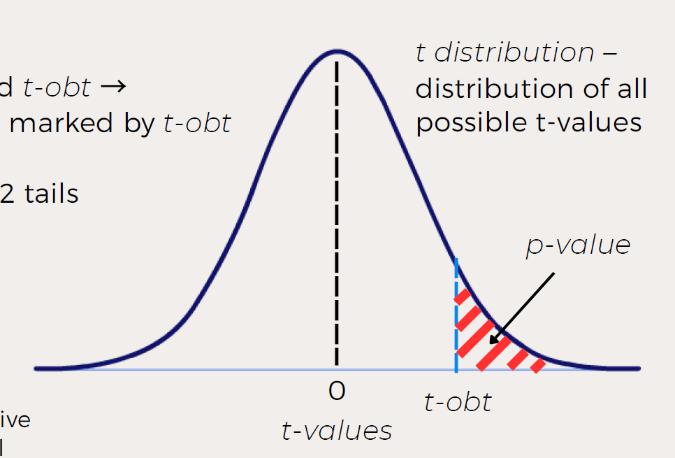 <p>A statistic representing the <strong>strength of the observed effect</strong> in your data.</p>