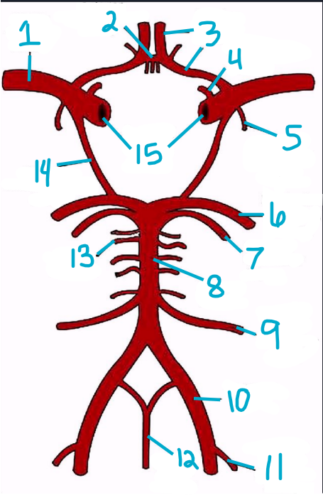 <p>8</p>