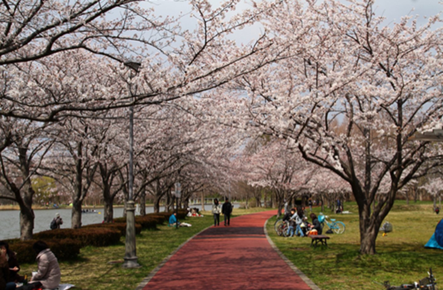 <p>park, large garden</p>