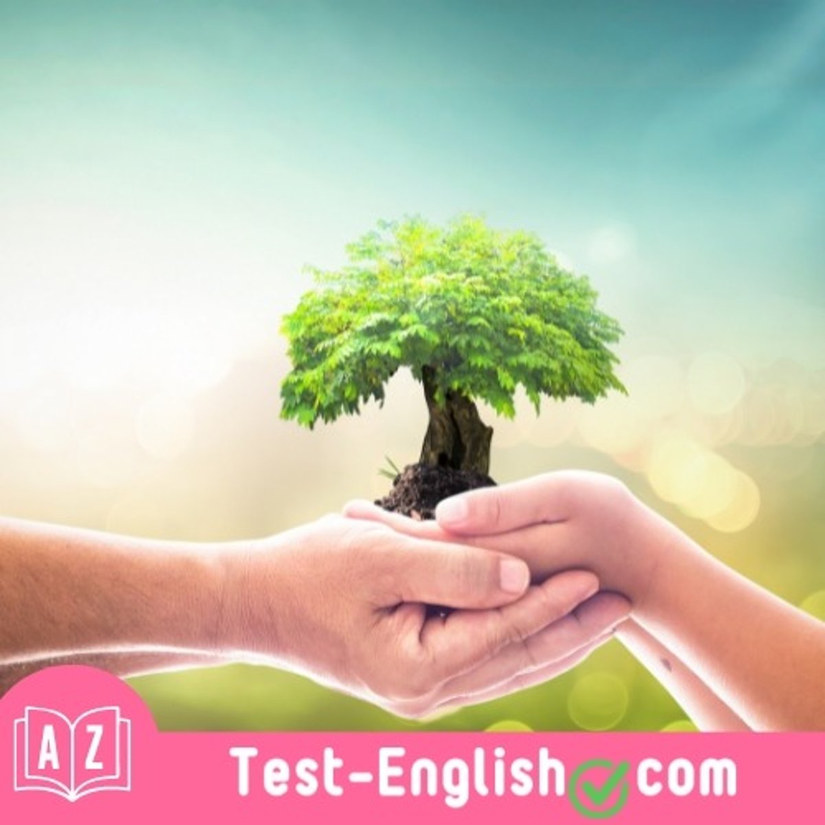 <p>They are _____. They always make good decisions and usually do the right thing.</p>