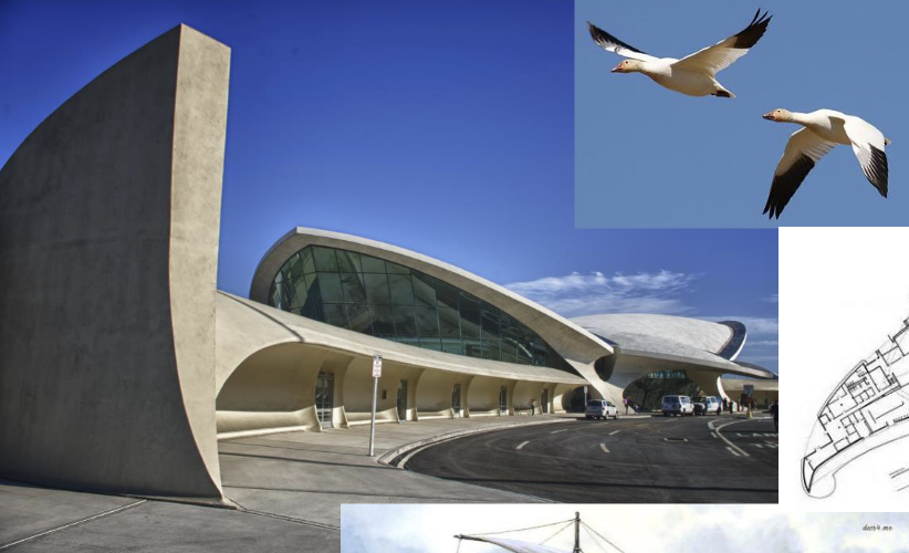 <p><span style="background-color: transparent;"><strong><span>Traits:</span></strong><span> organic curves, sculptural, emotional<br></span><strong><span>Idea:</span></strong><span> pleasure can be functional<br></span><strong><span>Influences:</span></strong><span> nature, human experience</span></span></p>