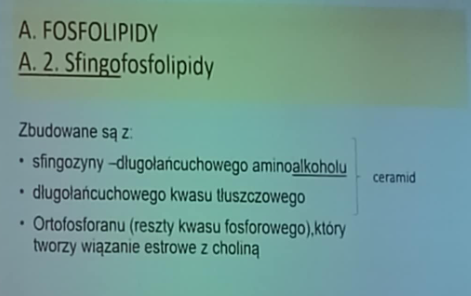 <p>sfingozyny (długołańcuchowy aminoalkohol), długołańcuchowy kwas tłuszczowy (to dwa składniki to ceramid), ortofosforanu (reszta kwasu fosforowego który tworzy wiązanie estrowe z choliną</p>