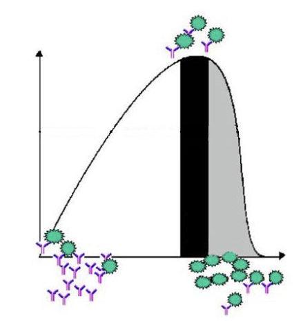 <p>this is the Heidelberger-Kendall Curve. in the (color: white, black, grey) ____ zone, there is <strong>excess antibody</strong>.</p>