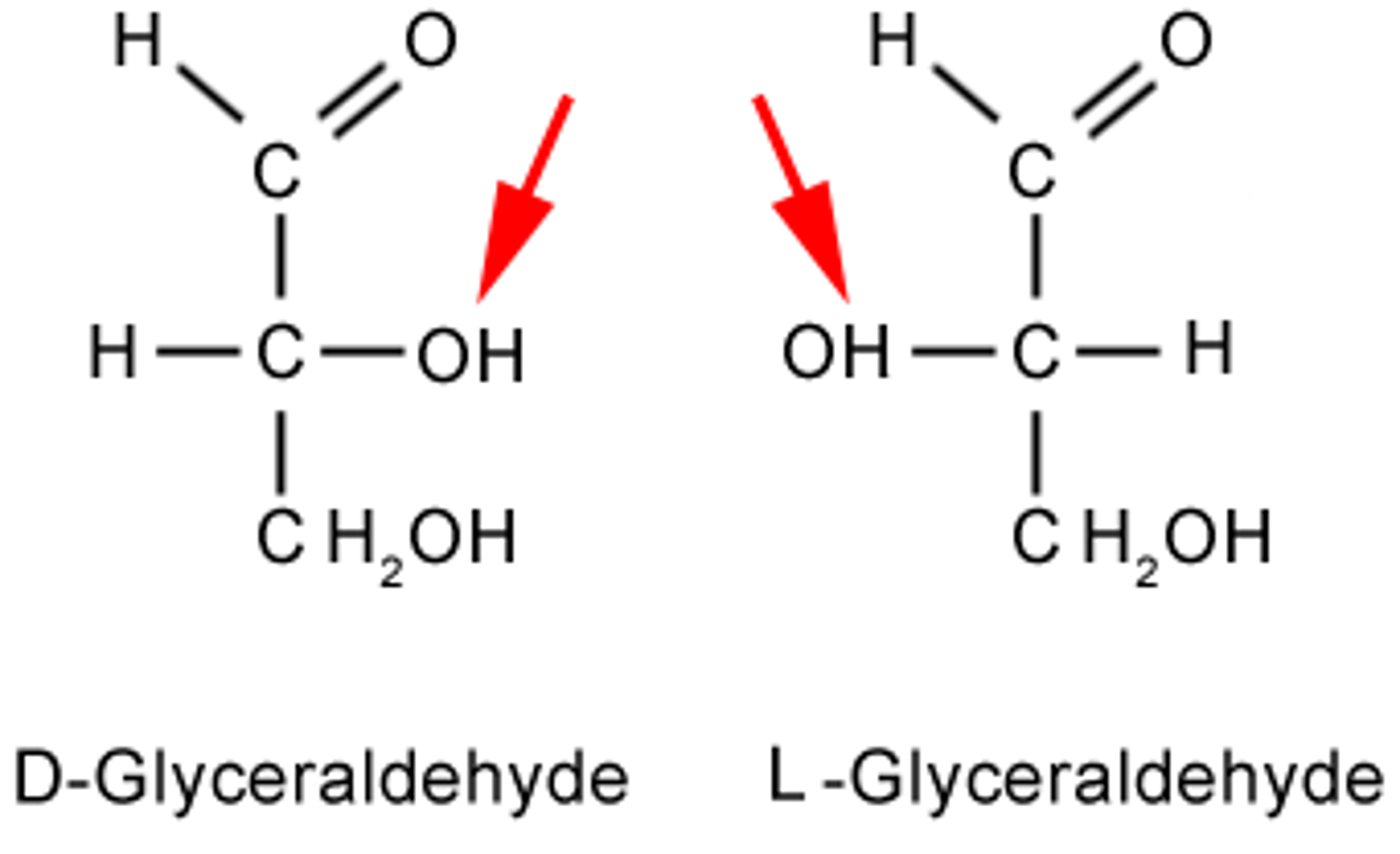 <p>- Smallest chiral monosaccharide</p><p>- Contains one asymmetric carbon</p><p>- Exists as: D-glyceraldehyde → OH on the right Or L-glyceraldehyde → OH on the left</p>
